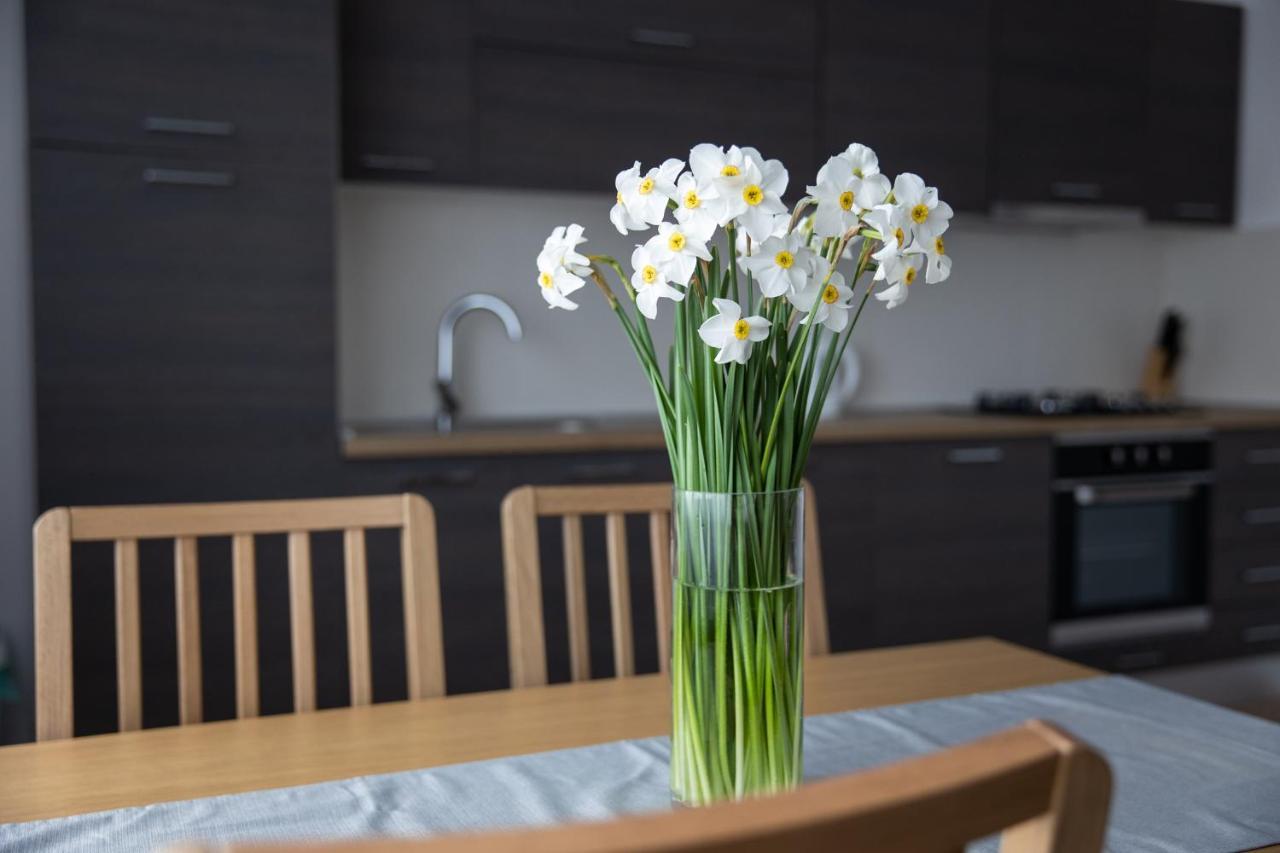 Apartman Ena Bjelovar Eksteriør billede