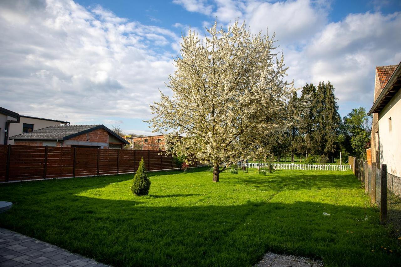 Apartman Ena Bjelovar Eksteriør billede